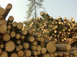 "Привет, старый предатель". Суд Кирова прослушал нецензурные разговоры Навального "Привет, старый предатель". Суд Кирова прослушал нецензурные разговоры Навального