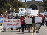 Monsanto обещает прекратить продвижение генетически модифицированных семян и растений в Европе