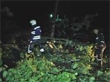 В результате урагана были повалены деревья, повреждены линии электропередач и коммунальные газопроводы