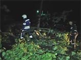 В результате урагана были повалены деревья, повреждены линии электропередач и коммунальные газопроводы В результате урагана были повалены деревья, повреждены линии электропередач и коммунальные газопроводы