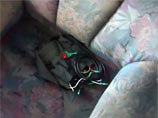 Одно самодельное взрывное устройство мощностью 200 граммов в тротиловом эквиваленте было найдено во вторник в Махачкале в частном доме по улице Оскара