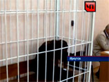 Иркутянка вместе с 4-летним сыном зверски избила его ровесницу, а соседи сняли расправу на видео Иркутянка вместе с 4-летним сыном зверски избила его ровесницу, а соседи сняли расправу на видео