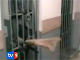 В Тбилиси осудили фигурантов "пыточного скандала" и закрыли дело "слившего" видео об истязаниях В Тбилиси осудили фигурантов "пыточного скандала" и закрыли дело "слившего" видео об истязаниях