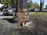 Автомобиль 33-летнего Хастингса, в котором он был один, по неустановленным пока причинам врезался в дерево возле Голливуда и загорелся