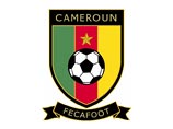 Международная федерация футбола (ФИФА) временно дисквалифицировала Камерунскую футбольную ассоциацию (FECAFOOT) и запретила сборным страны всех уровней проводить матчи