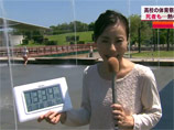 Количество погибших от сильной жары в Японии в первую неделю июля достигло трех человек, еще 2594 госпитализированы, в том числе 58 - на срок до трех недель и более
