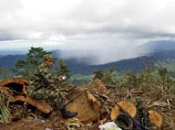 В Колумбии при падении вертолета погибли пять человек: его могли сбить боевики
