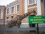 Московский зоопарк выразил готовность оказать любую помощь пострадавшим после того, как каждому будет установлен точный диагноза и назначен курс лечения