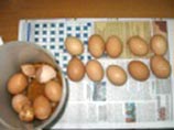 В Татарстане жена заключенного приехала на свидание с яйцами, наполненными самогоном