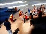 В Бразилии скончалась туристка, которая за несколько часов до своей смерти пережила нападение акулы. 18-летняя Бруна да Силва Гобби из Сан-паулу отдыхала на побережье в городе Ресифи и утром 22 июля решила искупаться в море