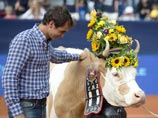 Роджеру Федереру второй раз в карьере подарили корову 