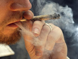 В Уругвае могут легализовать марихуану: совершеннолетние будут покупать ее в аптеке