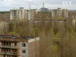 Американские ученые исследовали чернобыльские деревья-мутанты, меняющие цвет и форму Американские ученые исследовали чернобыльские деревья-мутанты, меняющие цвет и форму
