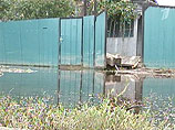 В Челябинской области ущерб от наводнения оценили в 1,2 млрд