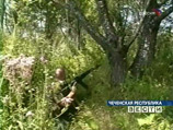 В Чечне двумя взрывами подорвали снайперов спецполка "Север"