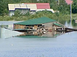 Паводки на Дальнем Востоке: разлившийся Амур угрожает Хабаровску, сельское хозяйство страдает
