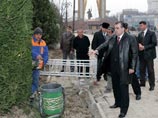 Таджикистану не везет с символами вечности: теперь засохла секвойя, посаженная президентом Таджикистану не везет с символами вечности: теперь засохла секвойя, посаженная президентом