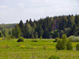 Речь идет о трех земельных участках площадью более 144 гектаров около подмосковного поселка Нахабино с расположенным на них лесным массивом первого и второго поясов санитарной охраны водоисточников Москвы