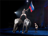 Российский цирковой аттракцион со слонами победил на Международном фестивале циркового искусства
