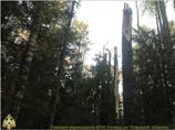 При крушении вертолета в Тверской области погиб глава управления Рослесхоза Сергей Медведев При крушении вертолета в Тверской области погиб глава управления Рослесхоза Сергей Медведев