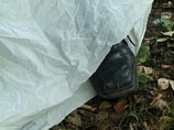 На подмосковной даче застрелен 85-летний сотрудник КГБ в отставке На подмосковной даче застрелен 85-летний сотрудник КГБ в отставке