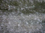 Москва поставила исторический рекорд по дождям с девятибалльными пробками и реками на тротуарах