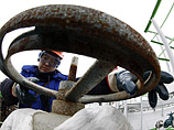 Российско-британскую нефтяную компанию Urals Energy могут покинуть "ельцинские" кадры, их сменят бывшие топ-менеджеры ТНК-ВР Российско-британскую нефтяную компанию Urals Energy могут покинуть "ельцинские" кадры, их сменят бывшие топ-менеджеры ТНК-ВР