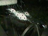 В Махачкале убит судья Верховного суда Дагестана и его сын В Махачкале убит судья Верховного суда Дагестана и его сын