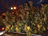 Власти Сочи отчитались об урагане: последствия оперативно устранены, пострадали три человека Власти Сочи отчитались об урагане: последствия оперативно устранены, пострадали три человека
