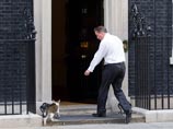 Сам британский премьер в Twitter заявил буквально следующее: "Мы с ним (котом. - Прим) вполне сносно ладим. И дети его любят"