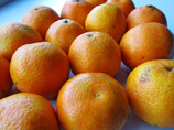 Власти РФ разрешили возобновить поставки фруктов из Грузии с 14 октября