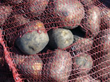 В этом году в России рекордно подорожал картофель. Рост цен составил 23,2%. К новому году ожидается, что килограмм картошки будет стоить 25-27 рублей