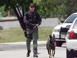 Вслед за лос-анджелесскими полицейскими в расизме обвинили их собак: кусают только чернокожих и латиноамериканцев