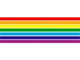 15% опрошенных не усмотрели никакого сходства между знаменами, учитывая, что флаг гей-движения состоит из шести цветов, а в символе ЕАО их семь