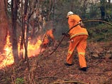 Причиной австралийских пожаров, которые бушуют в самом густонаселенном штате Новый Южный Уэльс, могли стать военные учения