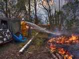 Пожары в Австралии в летний период случаются каждый год, однако сейчас они начались раньше обычного. Следователи считают, что боеприпасы, которые использовались в армейских учениях, могли воспламенить леса в районе города Литгоу
