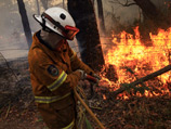 Лесные пожары на юго-востоке Австралии продолжают набирать силу уже больше недели