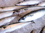 Россельхознадзор направил предупреждение норвежской рыбе