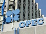 ОПЕК ожидает снижения доходов из-за сланцевой нефти, но верит в рост мирового спроса