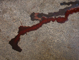 На юго-западе Москвы зверски убили двух приезжих женщин