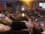 Семь человек сгорели на китайской фабрике в Италии