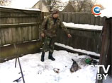 Чернобыльские волки атакуют белорусские деревни, особенно опасен один "матерый" Чернобыльские волки атакуют белорусские деревни, особенно опасен один "матерый"