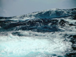 Российский моряк упал в море с нидерландского судна Российский моряк упал в море с нидерландского судна