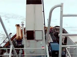 Затертый льдами "Академик Шокальский" ждет подхода австралийского ледокола