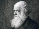 Треть американцев отвергли теорию эволюции Дарвина. В России ее сторонников и того меньше