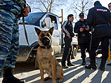 Полицейские с кинологами и служебно-розыскными собаками проверили более 2700 жилых домов, с тщательным обследованием чердаков и подвалов, свыше сотни стоянок городского и междугороднего автотранспорта