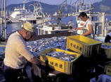 Также контролируются и поставки пищевой рыбной продукции, произведенной в Японии или выловленной в Тихоокеанском регионе