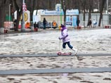 Синоптики обещают русскую зиму Европейской России к старому Новому году, а в Москве уже расцвели подснежники