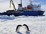 Напомним, НИС "Академик Шокальский", принадлежащий Дальневосточному НИИ гидрометеорологии, был заблокирован у берегов Антарктиды 24 декабря 2013 года