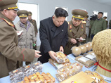 Департамент Трудовой партии, которым будет руководить сестра северокорейского лидера, отвечает за поставки электричества, угля, топлива, одежды и других предметов первой необходимости в Корейскую народную армию